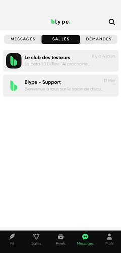 Fonctionnalités Blype - Chat et création